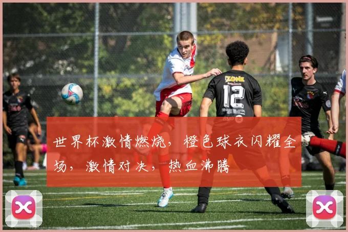 世界杯激情燃烧，橙色球衣闪耀全场，激情对决，热血沸腾